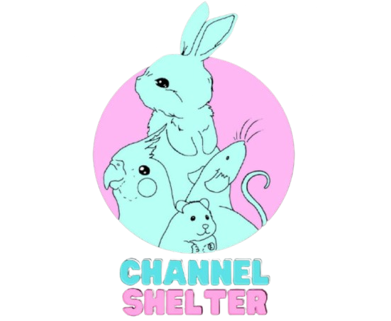 logo channel shelter